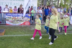 Olympiada MS 5_2016_064