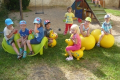 OV-DSCN3369 (13)