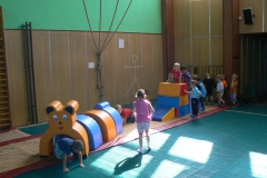 ZI-P1210761 (2)