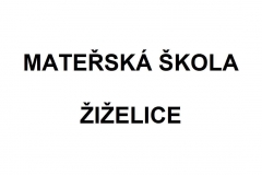 ZI